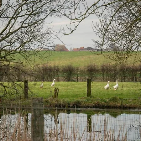 Family With Pond And Terrace